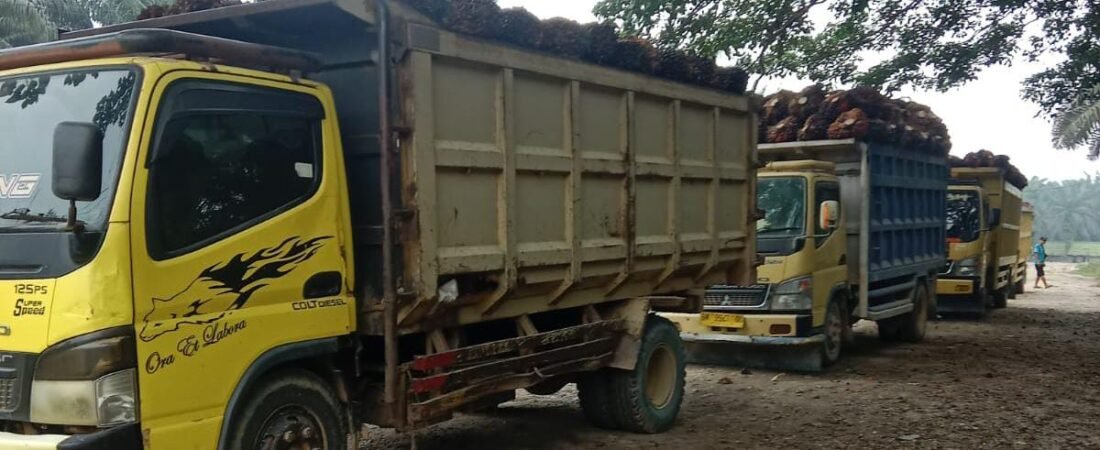 Dugaan Penguasaan Lahan di Luar HGU Seret Nama PT Citra Riau Sarana